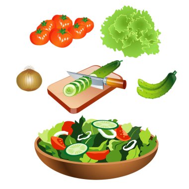 Sebze salatası renk vektör