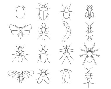 Böcek ve haşere imha ince çizgi sanat simgeleri ayarlayın. Doğrusal stil semboller üzerinde beyaz izole.