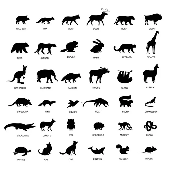 Gran Conjunto Animales Silueta Pictograma Animales Negros — Archivo Imágenes Vectoriales