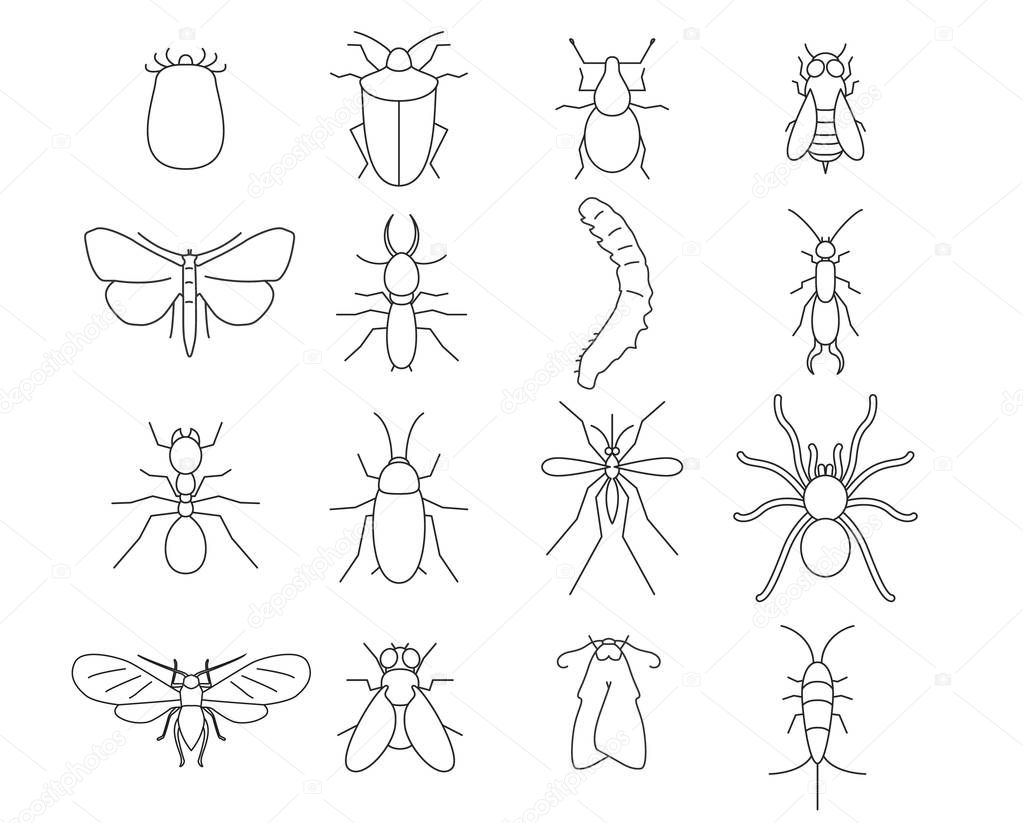 Insects & pest extermination thin line art icons set. Linear style symbols isolated on white.