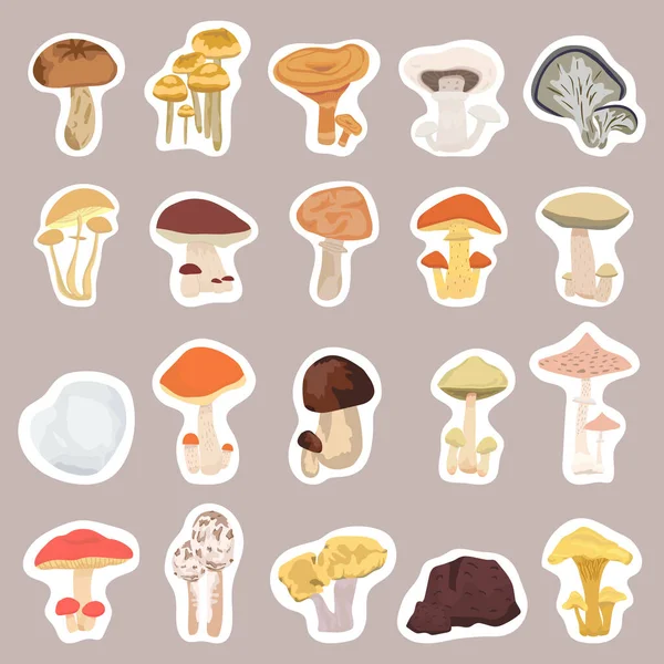 Mushrooms stickers set. Different mushrooms of the forest flat design. Vector illustration — Stock Illustration Mushrooms Stickers Set Different Mushrooms Forest Flat Design Vector Illustration Stock Vector