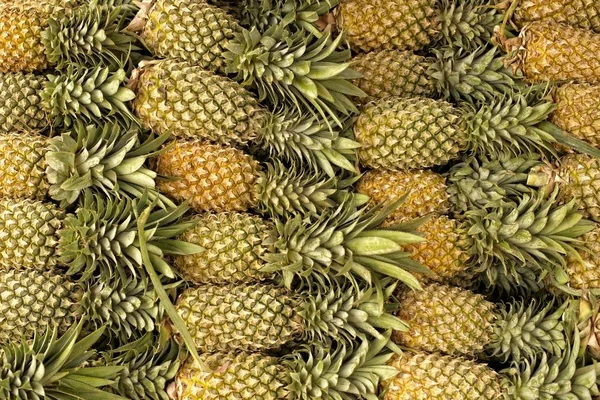 Ovoce ananas na trhu. — Stock fotografie