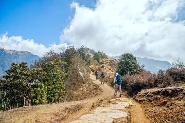 Nepal'de trekking
