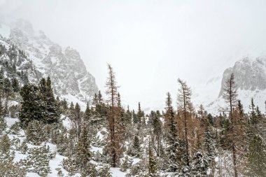 Kış aylarında yüksek Tatras dağlar.