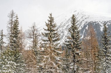 Kış aylarında yüksek Tatras dağlar.