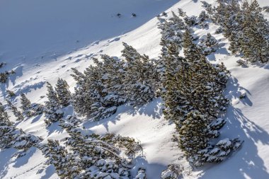 Kış aylarında yüksek Tatras dağlar.