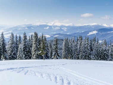 Karpat Dağları'nda kış.