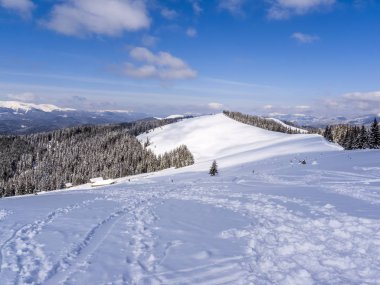 Karpat Dağları'nda kış..