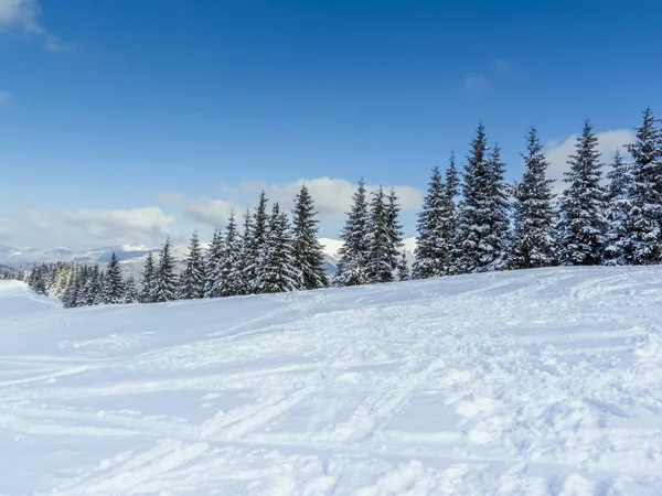 Karpat Dağları'nda kış.