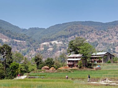 Dağ bisikleti Nepal'de.