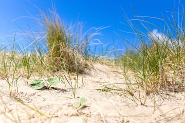 Beach, Scheveningen, Hollanda