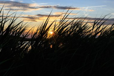 Kiekkaste, kuş gözlem