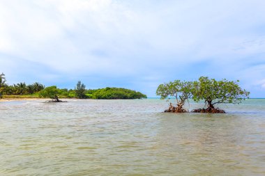 Cayo Jutias yılında Küba'nın kuzeybatı