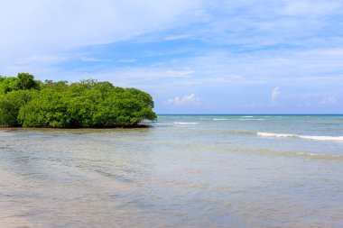 Cayo Jutias yılında Küba'nın kuzeybatı