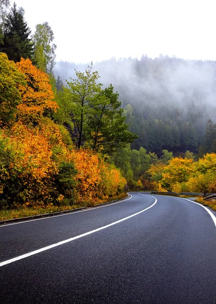 Camino de otoño en el Harz —  Fotos de Stock