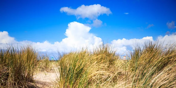 Strand in scheveningen, Niederlande — Stockfoto