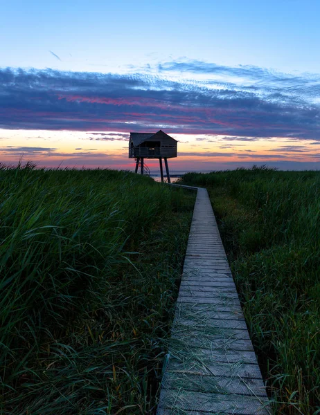 Vogelbeobachtung an der Kiekkaste — Stockfoto