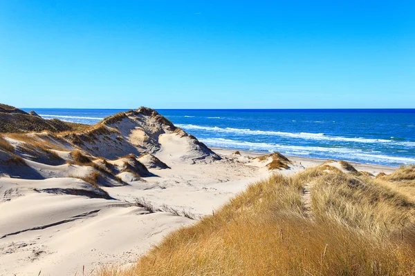 Dunes at the northern sea near Skagen, Denmark — Stock Photo, Image