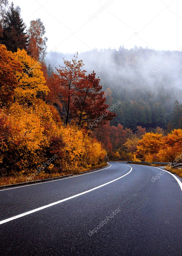 Autumnal road in the Harz