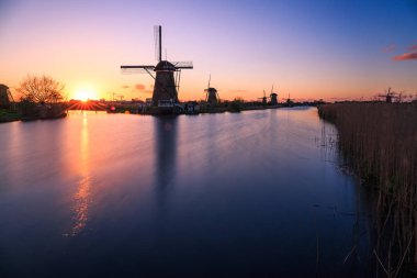 Mills doğal Rotterdam yakınındaki