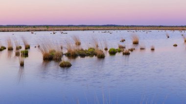 Uplengen yakınlarında Moorerlebnispfad