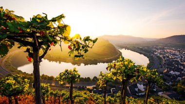 Moselle Nehri dirsek