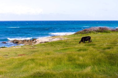 Playa Jibacoa, Küba Kuzey Sahil