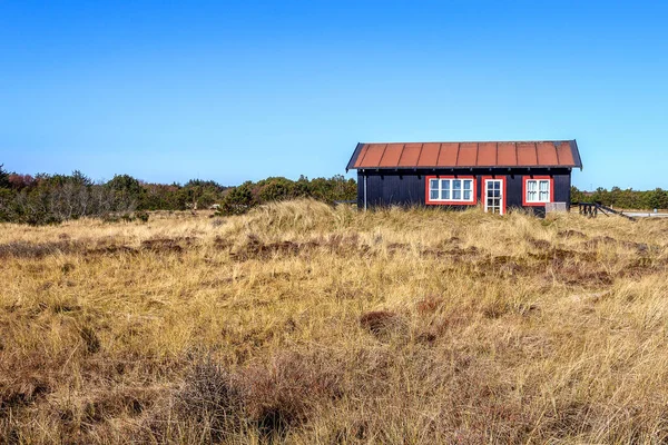 Petite maison en bois près de Skagen, Danemark — Photo