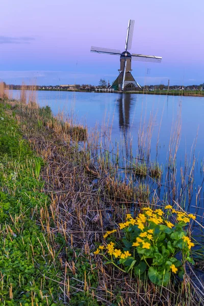 Molens van Kinderdijk in de buurt van Rotterdam — Stockfoto