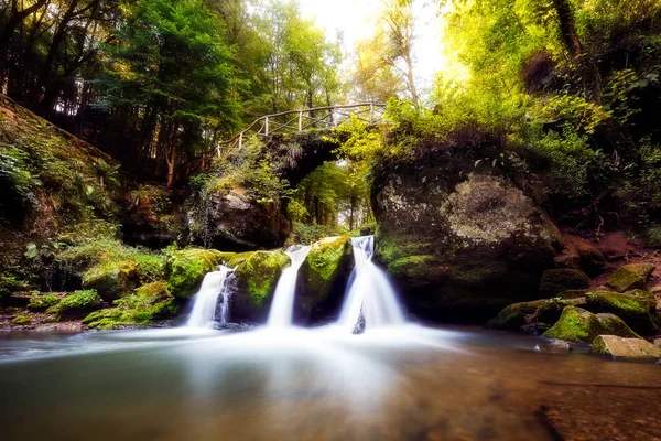 Mullerthal em Luxemburgo — Fotografia de Stock