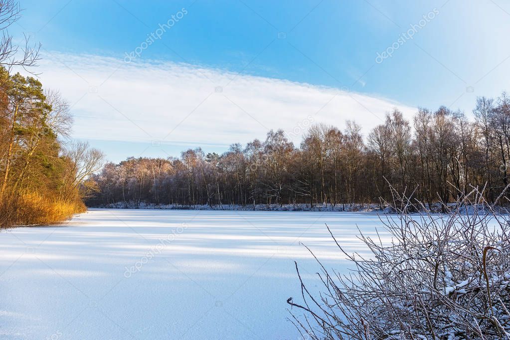 Frozen lake in Wiesmoor
