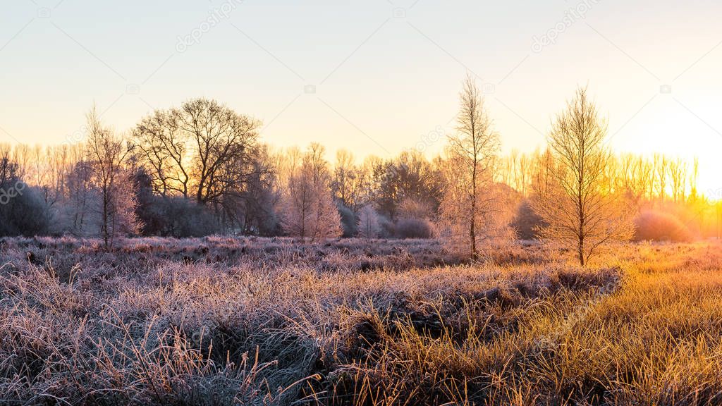 Frozen sunrise near Wiesmoor