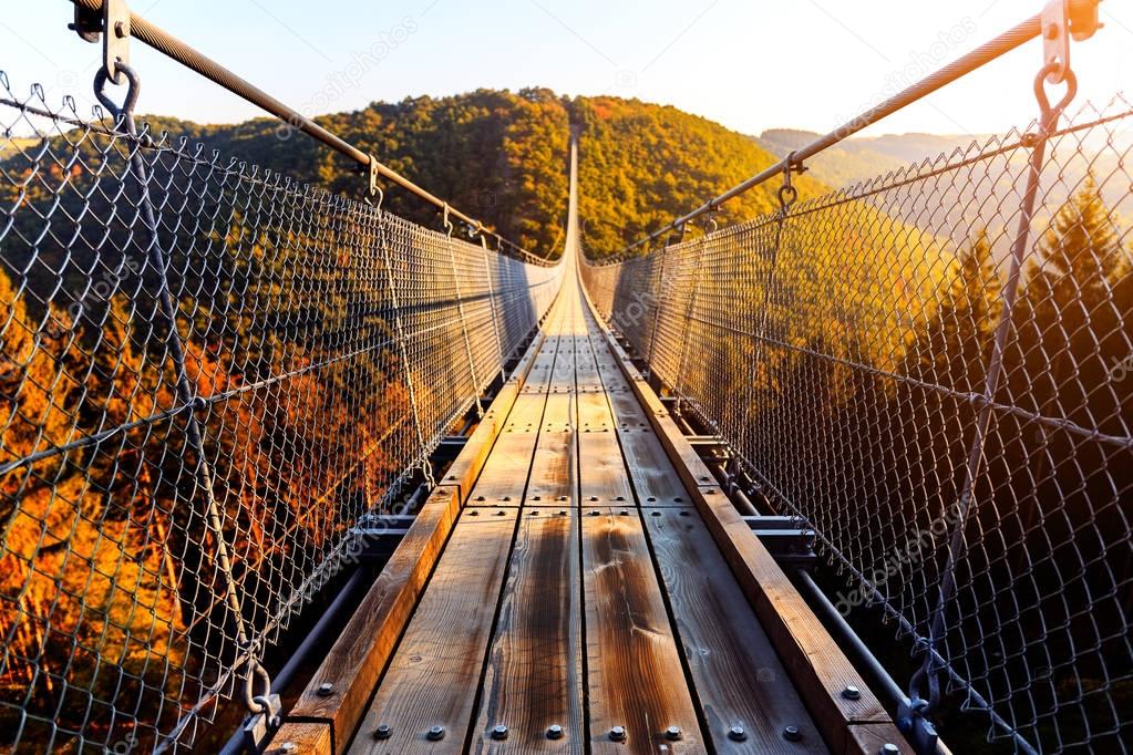 Hanging rope bridge Geierlay