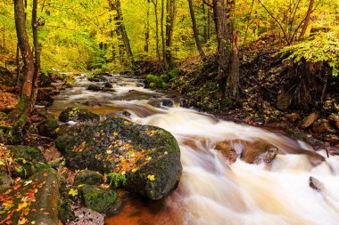 Nehir Ilse Harz adlı