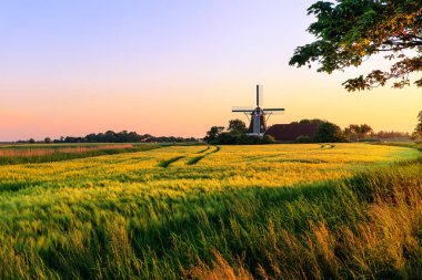 Seriemer mill near Neuharlingersiel clipart