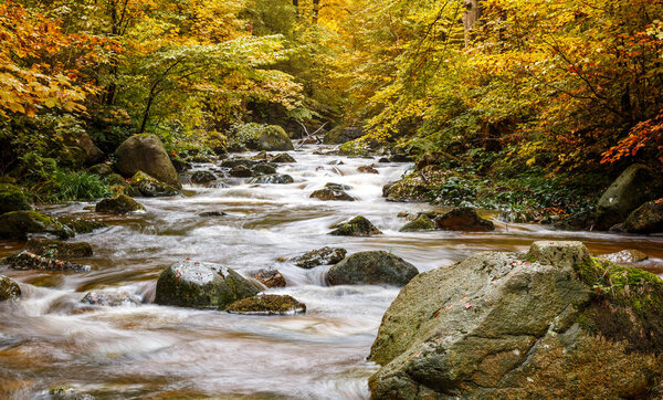 River Ilse at the Harz