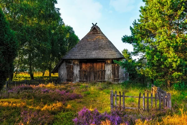 Sheep cottage in the Luneburg heath — Stock Photo, Image