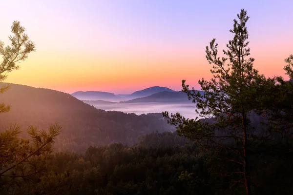 Salida del sol en el bosque palatino — Foto de Stock