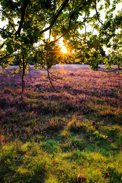 Закат на лунном занавесе
