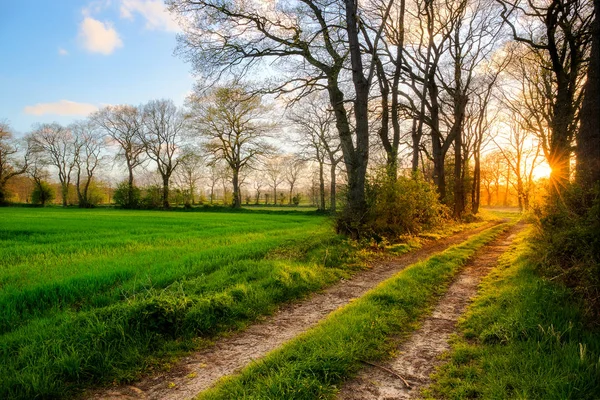 Solnedgången nära Ockenhausen — Stockfoto