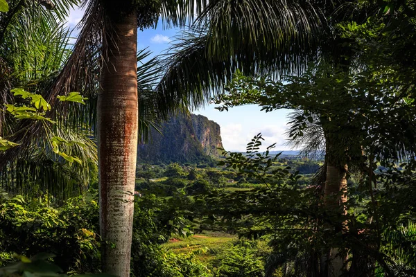 Valle de Vinales - κοιλάδα Vinales — Φωτογραφία Αρχείου