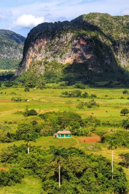 Valle de Vinales - Vinales Vadisi