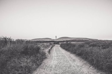 Rubjerg Knude fenere görüntülemek