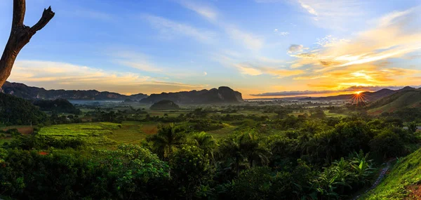 Valle de Vinales - Vinales-völgy — Stock Fotó