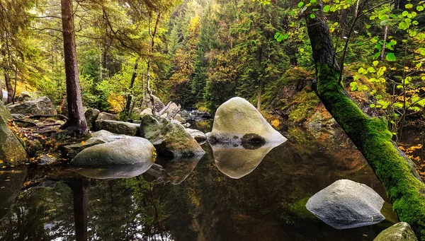 Verlobungsinsel en el río Oker — Foto de Stock