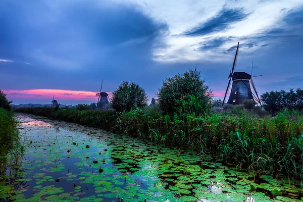 Moulins à vent de Kinderdijk — Photo