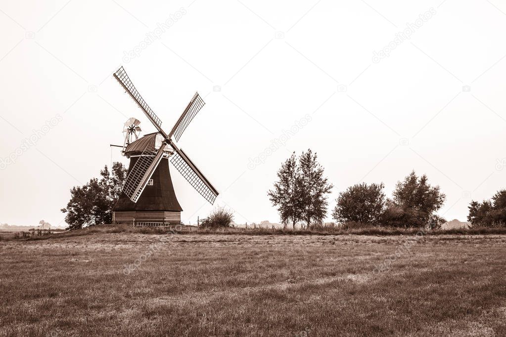 Windmill Wynhamster Kolk in Eastfrisia