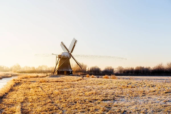 Windmill near Sande at cold winter morning — Stock Photo, Image
