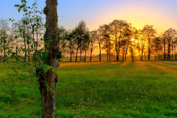 Pôr do sol na Frísia Oriental — Fotografia de Stock