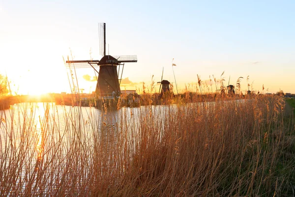 Molens van Kinderdijk in de buurt van Rotterdam — Stockfoto